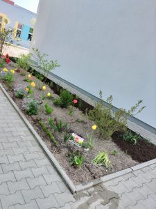 Przedszkolny ogródek